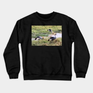 Grey Crowned Crane, Kenya Crewneck Sweatshirt